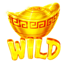 Symbol Wild