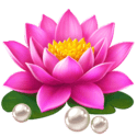 Symbol Lotus