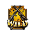 Symbol Wild