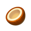 Symbol Coconut