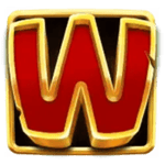 Symbol Wild