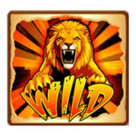 Symbol Wild