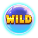 Symbol Wild