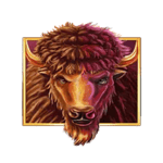 Symbol Wild