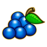 Symbol Blueberries