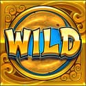 Symbol Wild