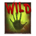 Symbol Wild