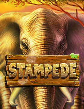 Play Free Demo of Stampede Slot by Eyecon