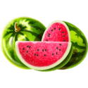 Symbol Watermelon