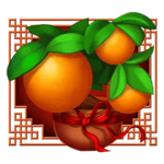 Symbol Oranges