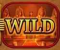 Symbol Wild
