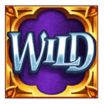 Symbol Wild