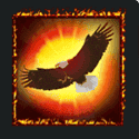 Symbol Hawk