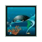 Symbol Stingray