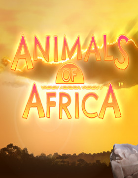 Animals of Africa Poster