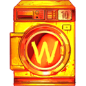 Symbol Special wild