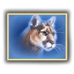 Symbol Cougar