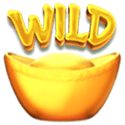 Symbol Wild