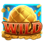 Symbol Wild