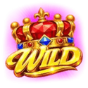 Symbol Wild