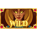 Symbol Wild