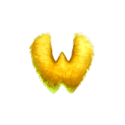 Symbol Wild