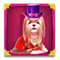 Symbol Yorkshire terrier (Red)
