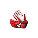 Symbol Gloves