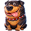 Symbol Black dog