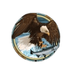 Symbol Eagle