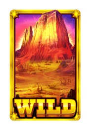 Symbol Wild