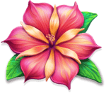 Symbol Pink Flower