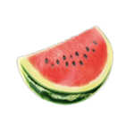 Symbol Watermelon