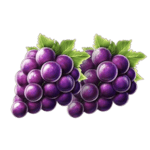 Symbol Grape