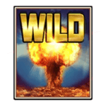 Symbol Wild