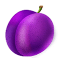 Symbol Plum