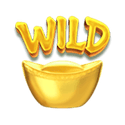 Symbol Wild