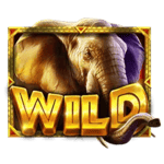Symbol Wild