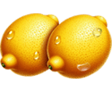 Symbol Lemon