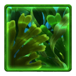 Symbol Mystery