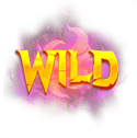 Symbol Wild