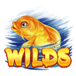 Symbol Wild