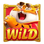 Symbol Wild