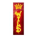 Symbol Wild