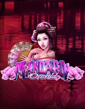 Mandarin Orchid