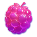 Symbol Berry