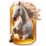 Symbol Bronco