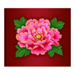 Symbol Peony