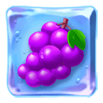 Symbol Grape