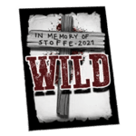 Symbol Wild